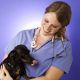 Beginner’s Guide To Vaccinating Puppies