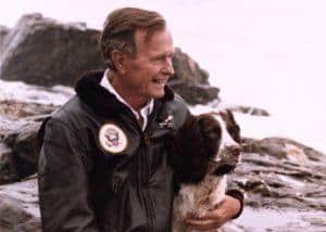 President Bush With His Springer Spaniel, Ranger. Photo Credit: George Bush Presidential Library And Museum