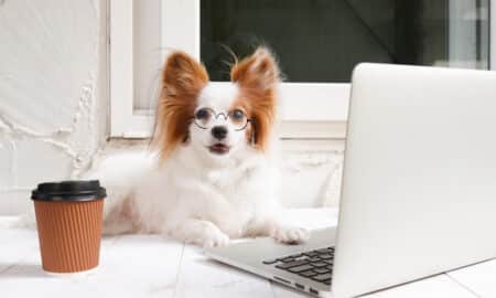 Cute Dog Is Working On A Silver Laptop With A Cup Of Coffee