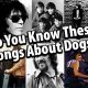 Dog Songs