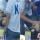 Dog Who Caught The Home Run Ball