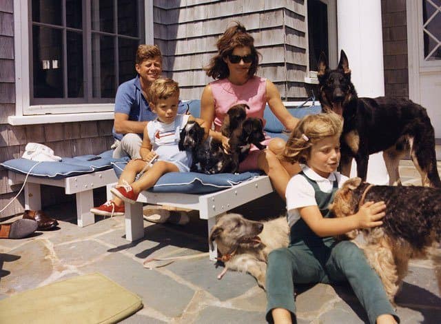 The Kennedy Family Poses With Their Dogs At Hyannisport: Cocker Spaniel Shannon, Welsh Terrier Charlie, German Shepherd Clipper, And The Pups Of Pushinka, Who Was A Gift To Caroline From Soviet Premier Nikita Khrushchev.