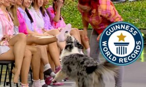 Daiquiri The Dog Setting A New World Record