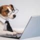 Portrait Of A Smart Dog At The Computer On A White Background.