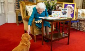 Queen Elizabeth And Corgi