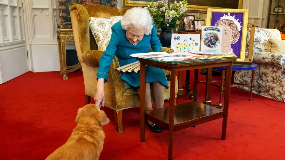 Queen Elizabeth And Corgi