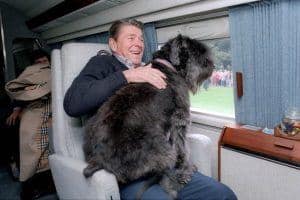 11/1/1985 President Reagan Aboard Marine One With His Dog &Quot;Lucky&Quot; On His Lap.