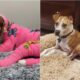 Riona The Dog During And After Recovering