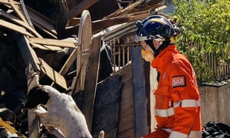 Search Resuce Dog With Handler In Turkey