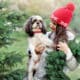Woman With Her Dog Choosing Fir Tree And Wreath At The Christmas Tree Farm