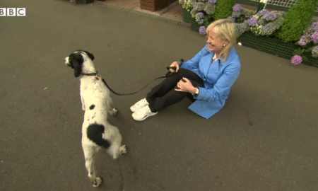 Carol Kirkwood On The Floor With Search Dog Wraith