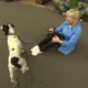 Carol Kirkwood On The Floor With Search Dog Wraith