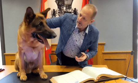 Pal The German Shepherd With Niagara Falls City Mayor Jim Diodati