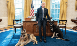 Biden